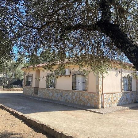 Casa Rural Il Consigliere Córdova Exterior foto